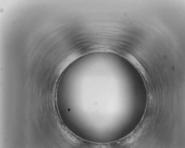 X0000088611002200706011223