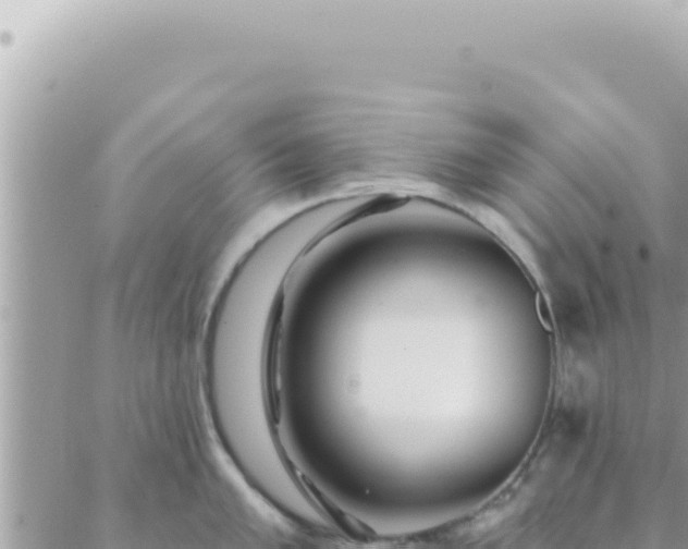 X0000088611005200706011223