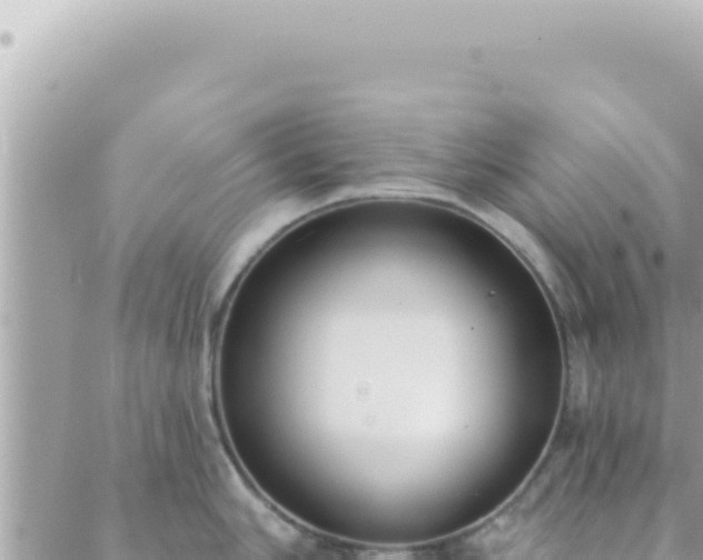 X0000088611006200706011223