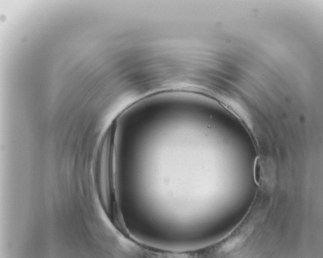 X0000088611007200706011223