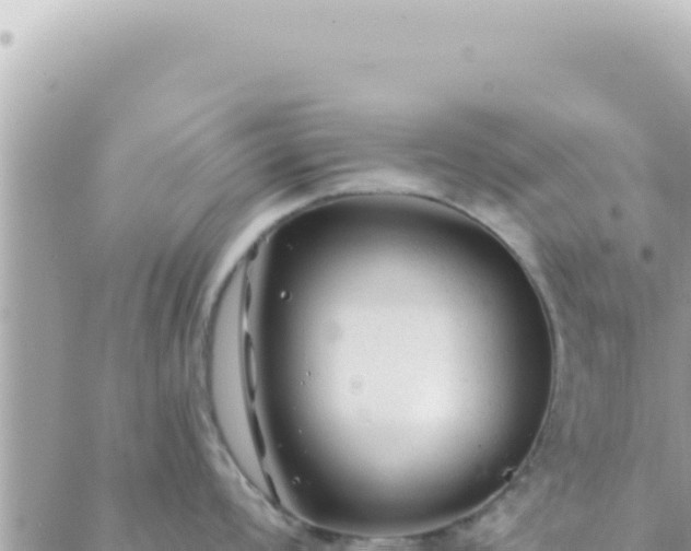 X0000088611008200706011223