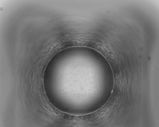 X0000088611009200706011222