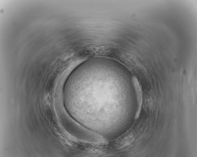 X0000088611010200706011222