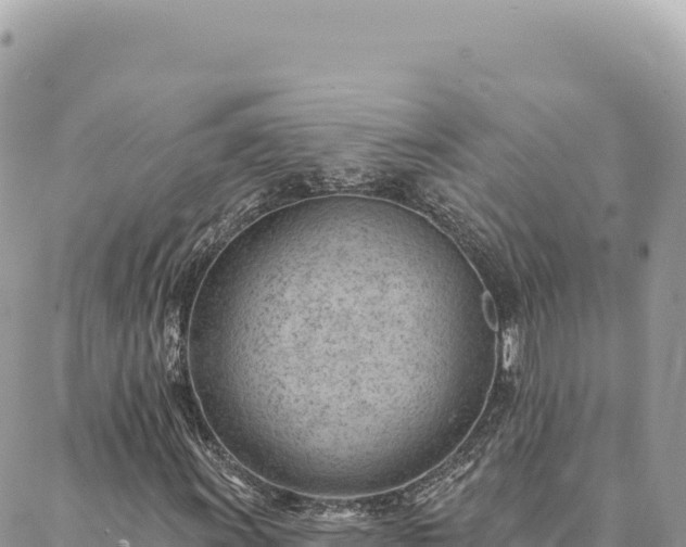 X0000088611011200706011222