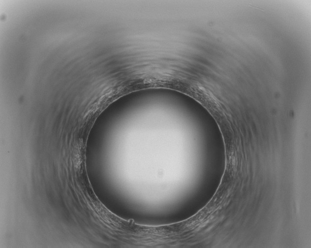 X0000088611012200706011222