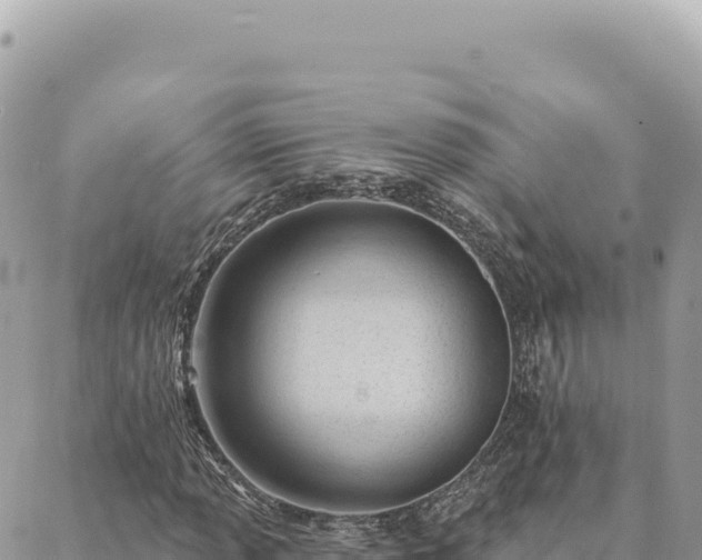 X0000088611013200706011222