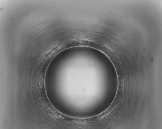 X0000088611014200706011222