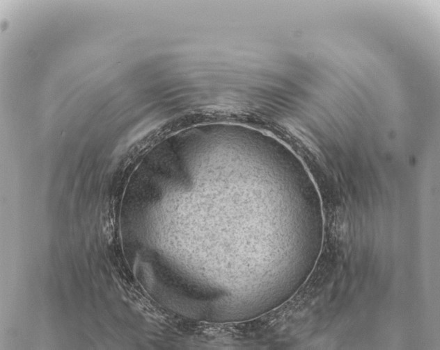 X0000088611015200706011222