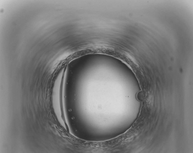 X0000088611016200706011222