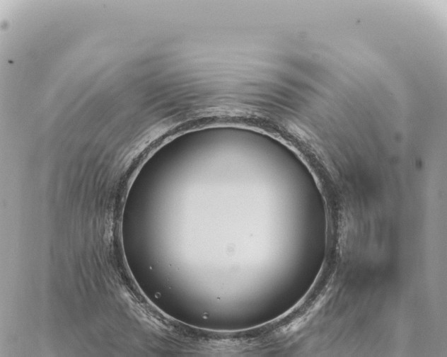 X0000088611017200706011222