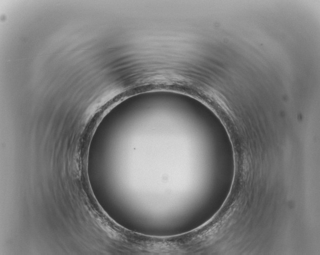 X0000088611018200706011222