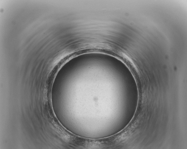 X0000088611019200706011222