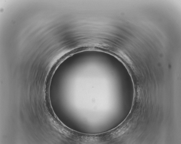 X0000088611020200706011222