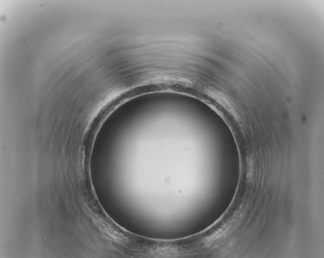 X0000088611021200706011222