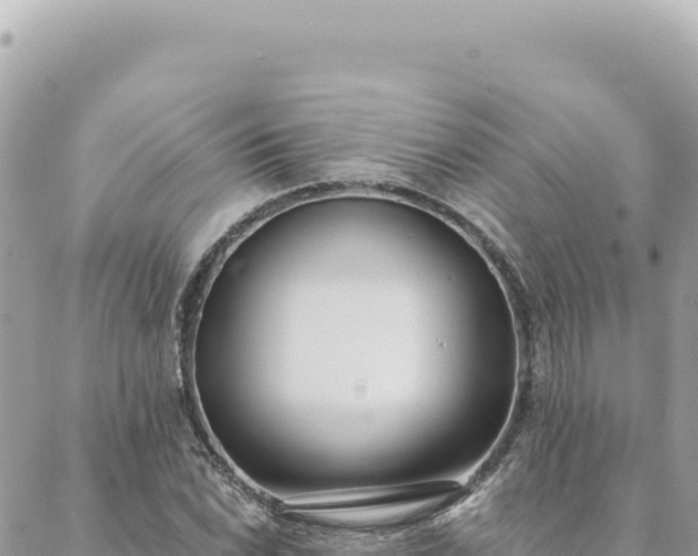 X0000088611022200706011222