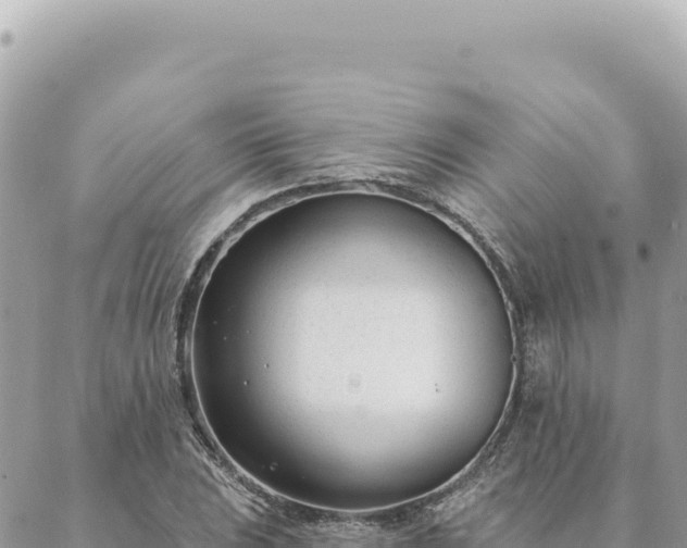 X0000088611023200706011222