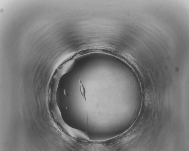 X0000088611024200706011222