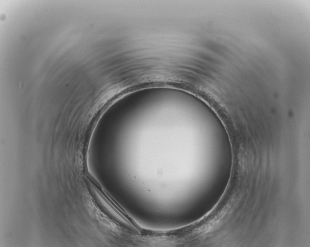 X0000088611025200706011222