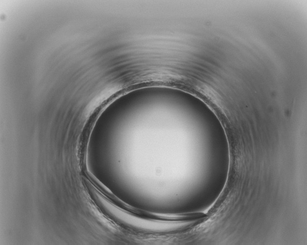 X0000088611026200706011222