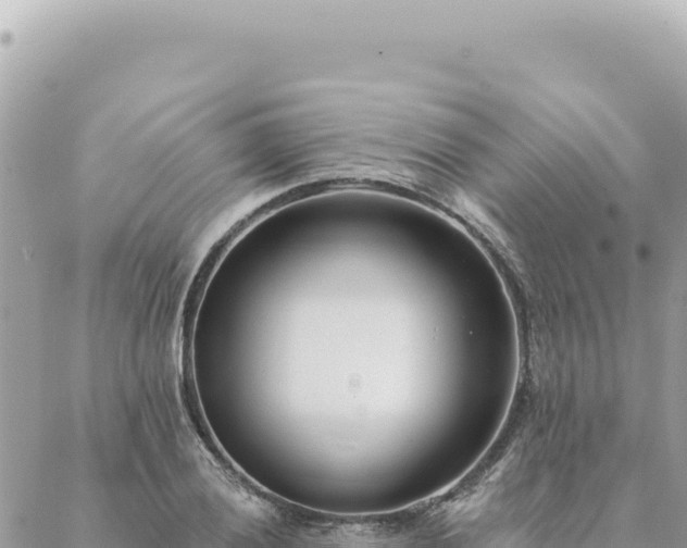 X0000088611028200706011222