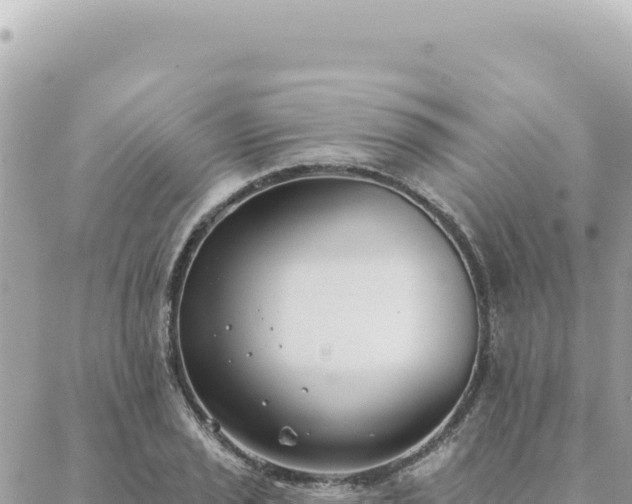 X0000088611029200706011222