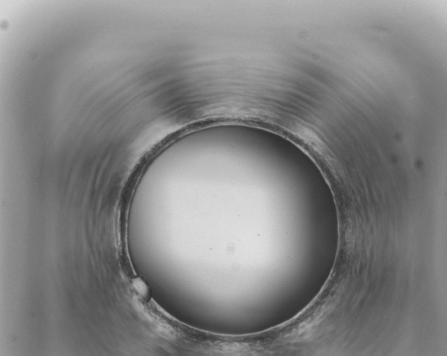 X0000088611030200706011222