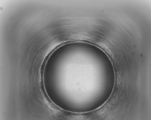 X0000088611031200706011222