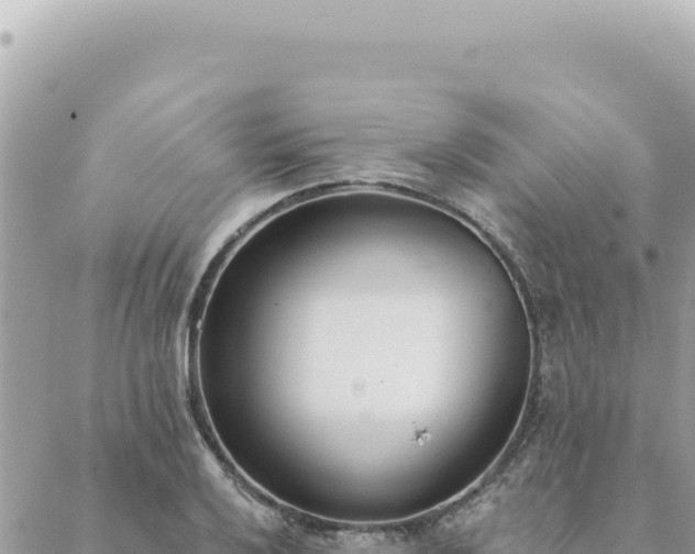 X0000088611032200706011222