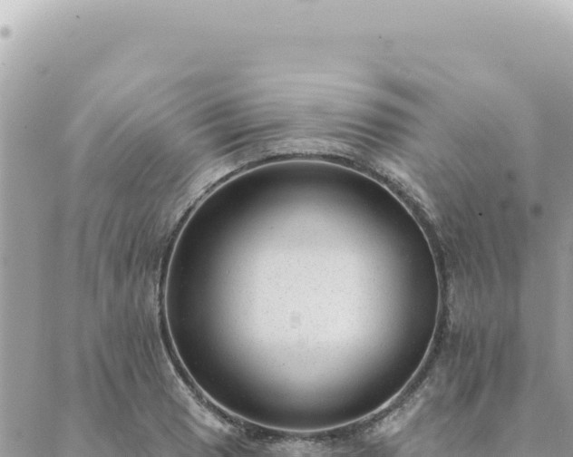 X0000088611033200706011222