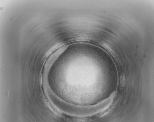 X0000088611034200706011222