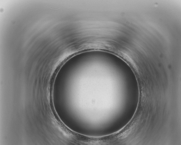 X0000088611035200706011222