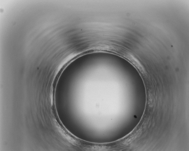 X0000088611036200706011222