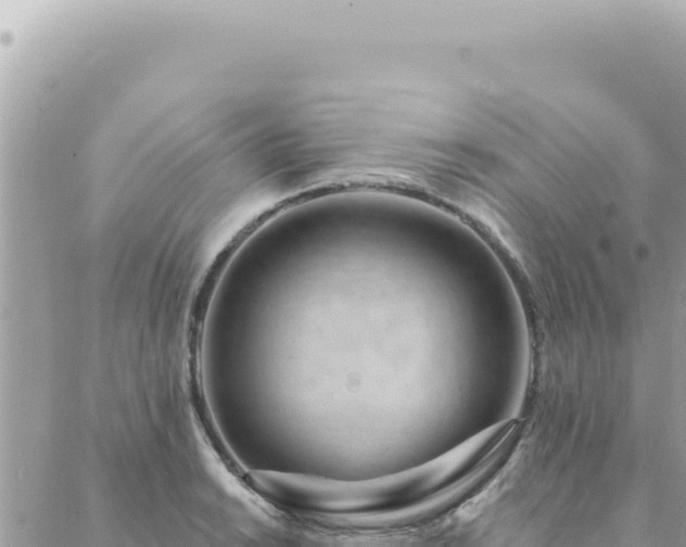 X0000088611038200706011222