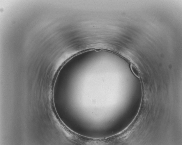 X0000088611040200706011222