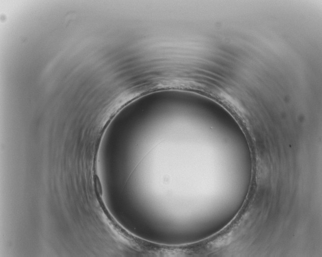 X0000088611041200706011222