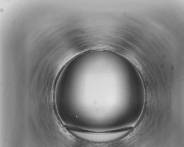 X0000088611044200706011222