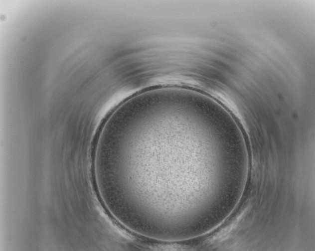 X0000088611045200706011222