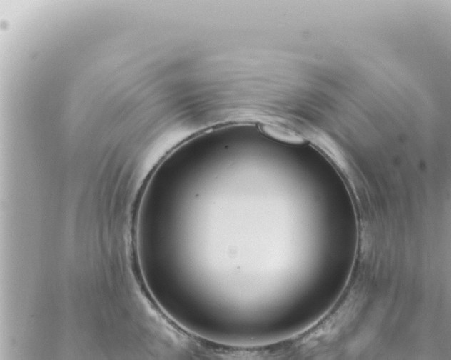 X0000088611048200706011223