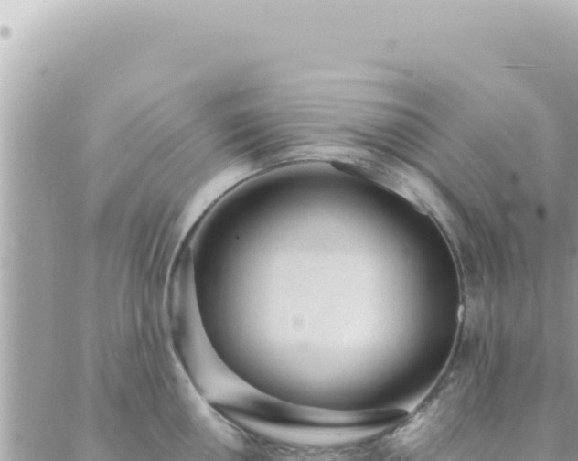 X0000088611050200706011223