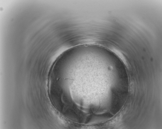 X0000088611051200706011223