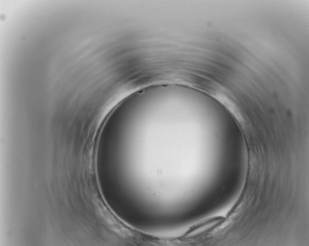 X0000088611052200706011223