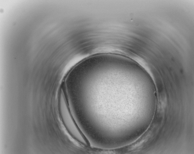 X0000088611053200706011223