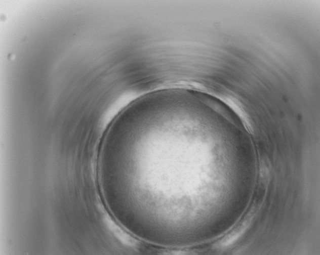 X0000088611054200706011223