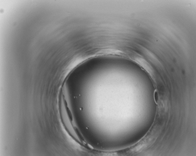 X0000088611055200706011223