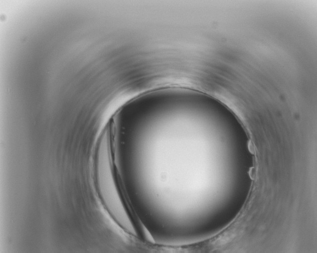 X0000088611056200706011223