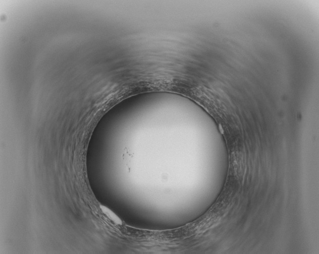 X0000088611057200706011222