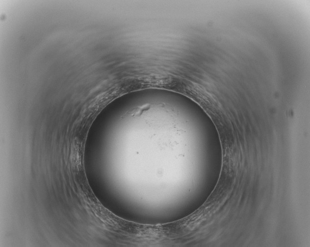 X0000088611058200706011222