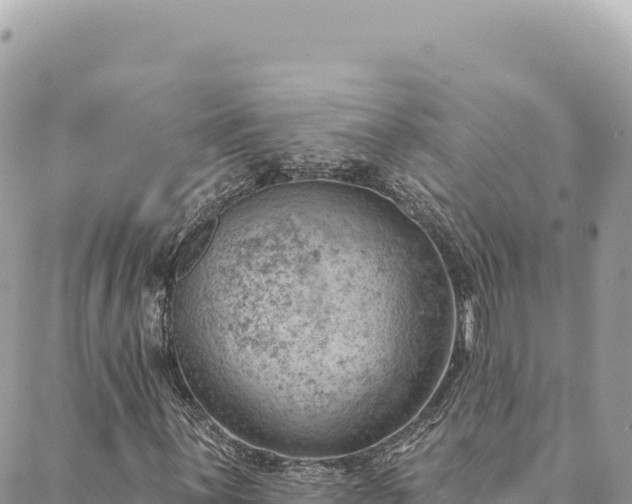 X0000088611059200706011222