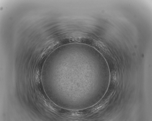 X0000088611060200706011222