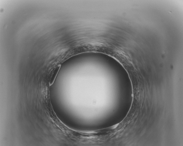 X0000088611061200706011222